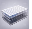 PCR-96BR-HF-C-P 2