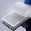 WCTSM-SQ-384-1d Silicone Sealing Mat