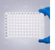PCR-96BR-LF-CW-P 2
