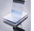 PCR-96BR-HF-C-P 1