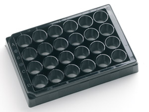 Clear bottom assay plate image 1