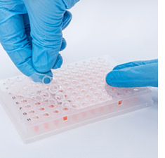 ClearASeal Peel image 2
