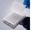 WCTSM-2mL-RD-96-1c Silicone Sealing Mat