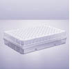 PCR-96BR-HF-C-P 2