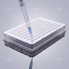 PCR-96BR-HF-C-P 4