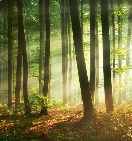  Sustainability<div style='clear:both;'>in the laboratory<br>&nbsp;