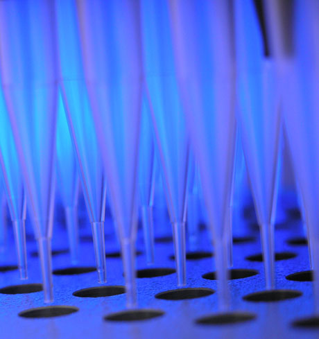  Microplate<div style='clear:both;'>and pipettor tip cleaning
